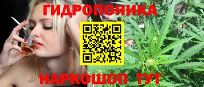 дурь Гусев