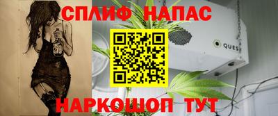 дурь Гусев